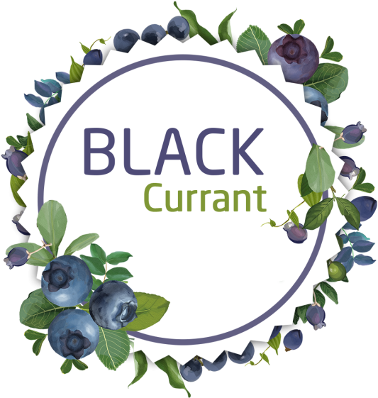 Decorative Watercolor Black Currant Wreath Stickers, - Huckleberry (640x640)