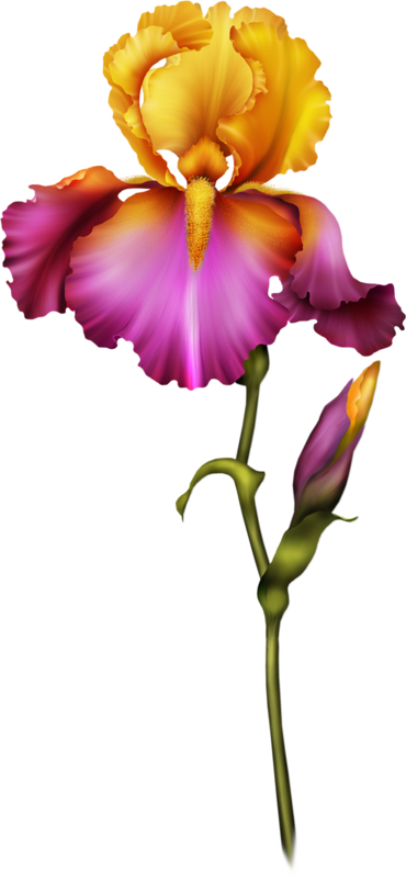 Яндекс - Фотки - R Letter In Flowers (370x800)