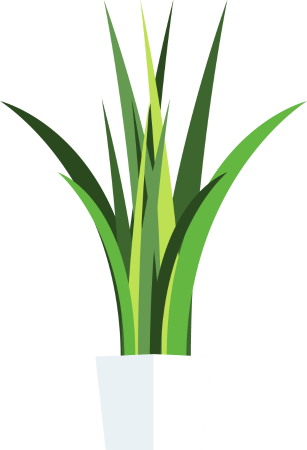 307 X 450 0 - Grass (307x450)