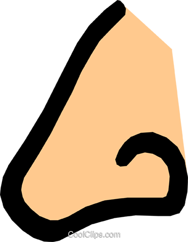 Símbolo De Um Nariz Livre De Direitos Vetores Clip - Nase Clipart (373x480)