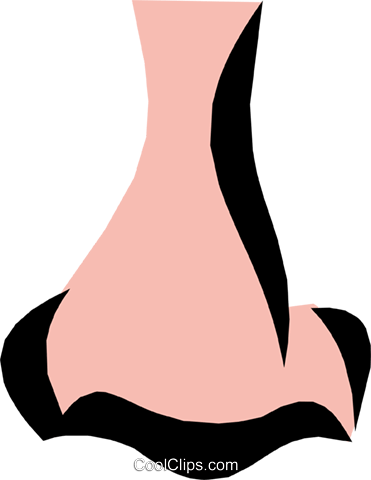 Nose Royalty Free Vector Clip Art Illustration - Nariz Desenho Png (371x480)