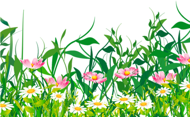 Ground Clipart Grass Flower - Spring Grass Flowers Png Clipart (640x480)