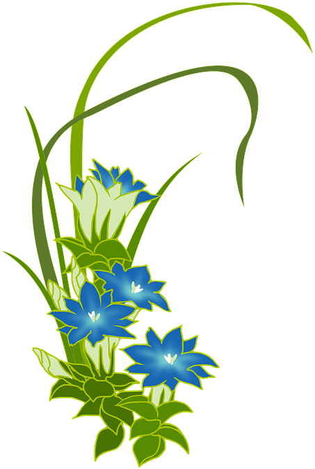 Gentian, Wild Grass, Blue, Flowers, Fuderindou - Transparent Green And Blue Flower (492x720)