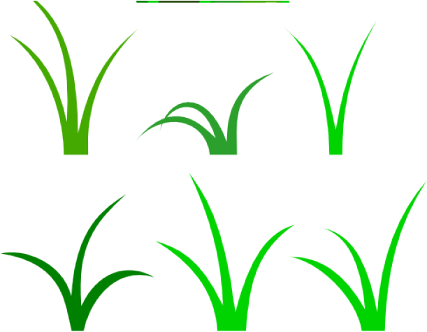 White Flower Clipart Grass - Clip Art Blades Of Grass (640x480)