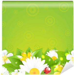 Borders With Grass And Colorful Flowers Wall Mural - Flower (400x400)