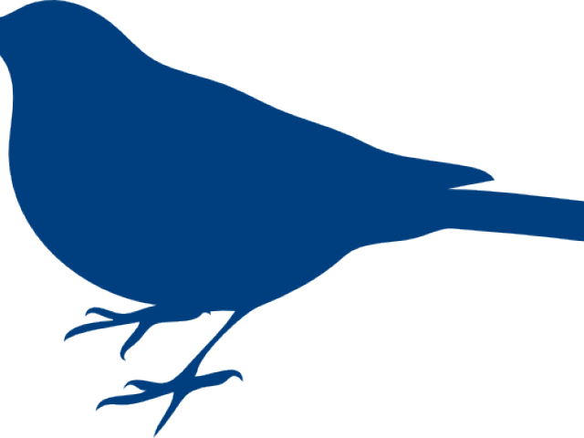 Bluebird Clipart 5 Bird - Bird Silhouette Clip Art (640x480)