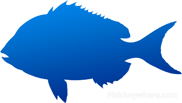 Porgy - Porgy (584x336)