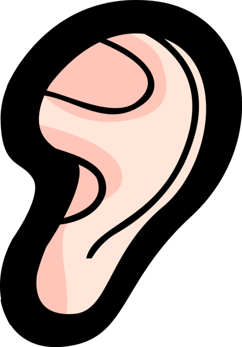 Hearing Clipart Human Ear - Hearing Clipart Human Ear (488x700)