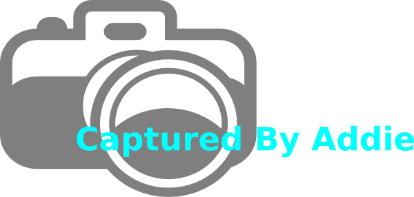 Camera Clip Art (600x286)