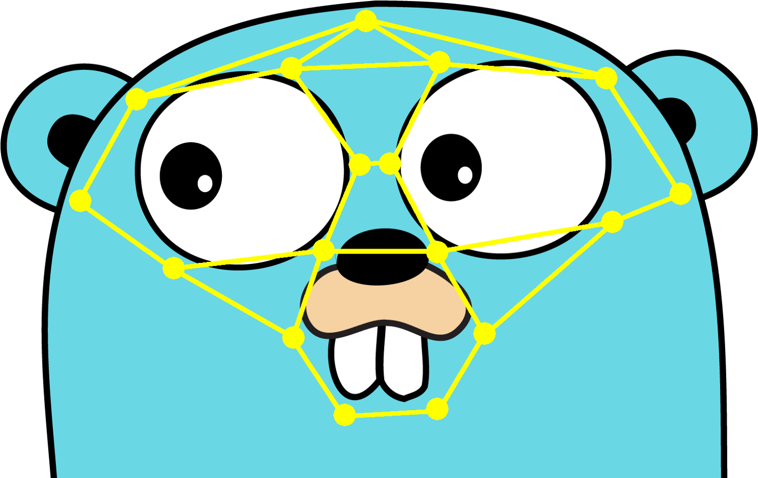 Golang Gopher Logo Svg (1600x930)