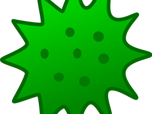 Drawn Seaweed Green Seaweed - Algae Png (640x480)