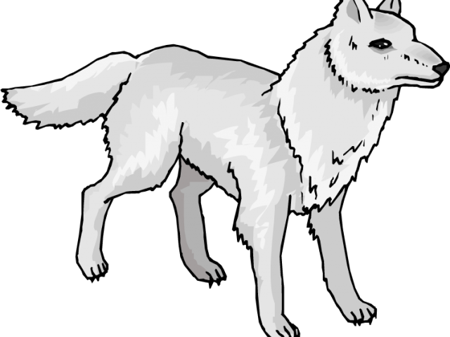 Arctic Wolf Clipart Svg - Wolf Coloring Pages (640x480)