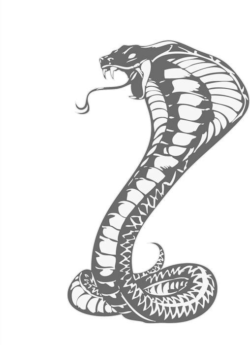 Cobras King Cobra Snakes Tattoo Snake Drawing Clipart - Khon Kaen United F.c. (700x700)