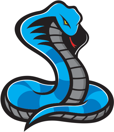 600 X 600 1 - Snake Mascot Logo Png (600x600)