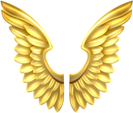 Golden Angel Wings Png (480x480)