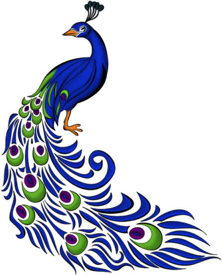 Peacock Right, Peacock Right Side, Blue Peacock, Vector - Peacock Drawing With Colour (640x640)
