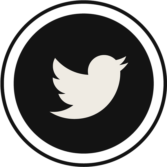 Share - Twitter Icon Png Gray (590x590)