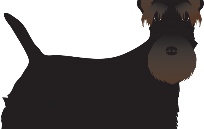 Iconic 'scottie Dog' Enters List Of Dog Breeds At Risk - Companion Dog (800x445)