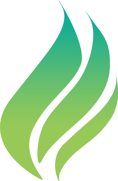 Briller Makes Hair Stronger - Clip Art (390x596)