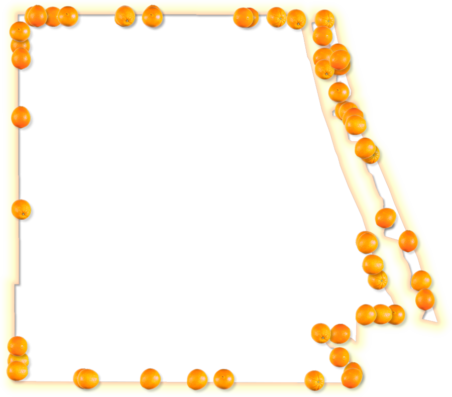 Orange Clipart Picture Frames Line Font - Picture Frame (900x790)