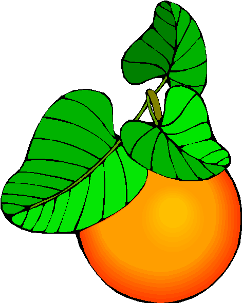 Mango Clipart Buah Buahan - Fruit (490x604)