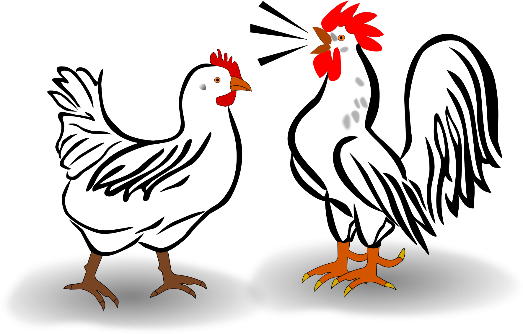 Log In - Rooster (2280x1527)