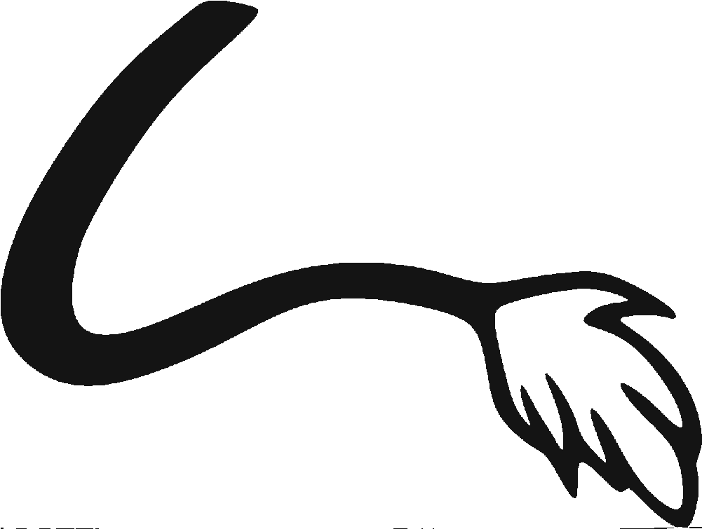 1000 X 1000 8 - Une Queue De Vache (1000x1000)