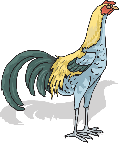 Tall Rooster Clip Art At Clker Com - Gambar Gerak Ayam Jago (498x595)