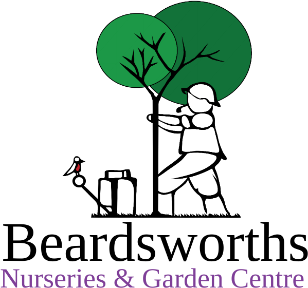 One Line Status In English For Whatsapp (600x600)