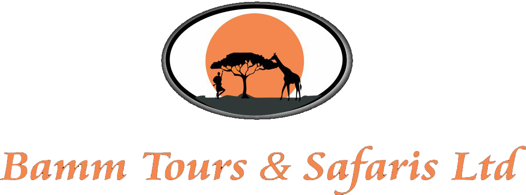 Best Tour Safari Company Kenya Nairobi Safari Tours, - Zaffran (1061x394)