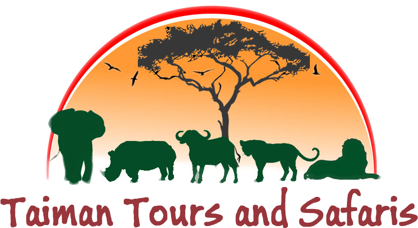Taiman Tours And Safaris - Indian Elephant (862x517)