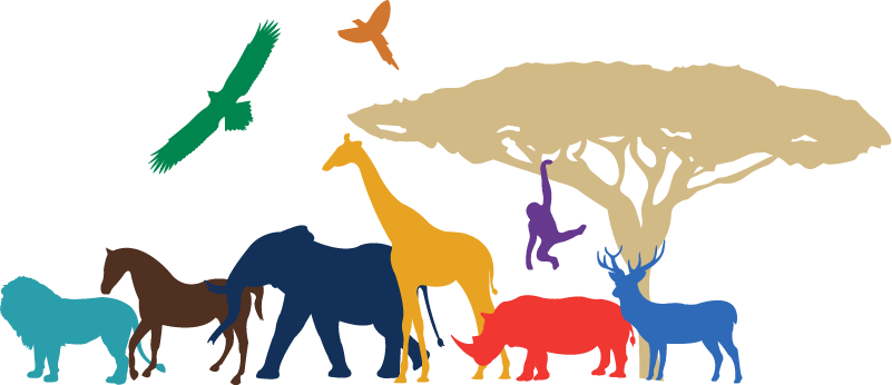 Wandtattoo Jugendzimmer Afrika Tiere Safari Silhouette - Wandtattoo Jugendzimmer Afrika Tiere Safari Silhouette (801x346)