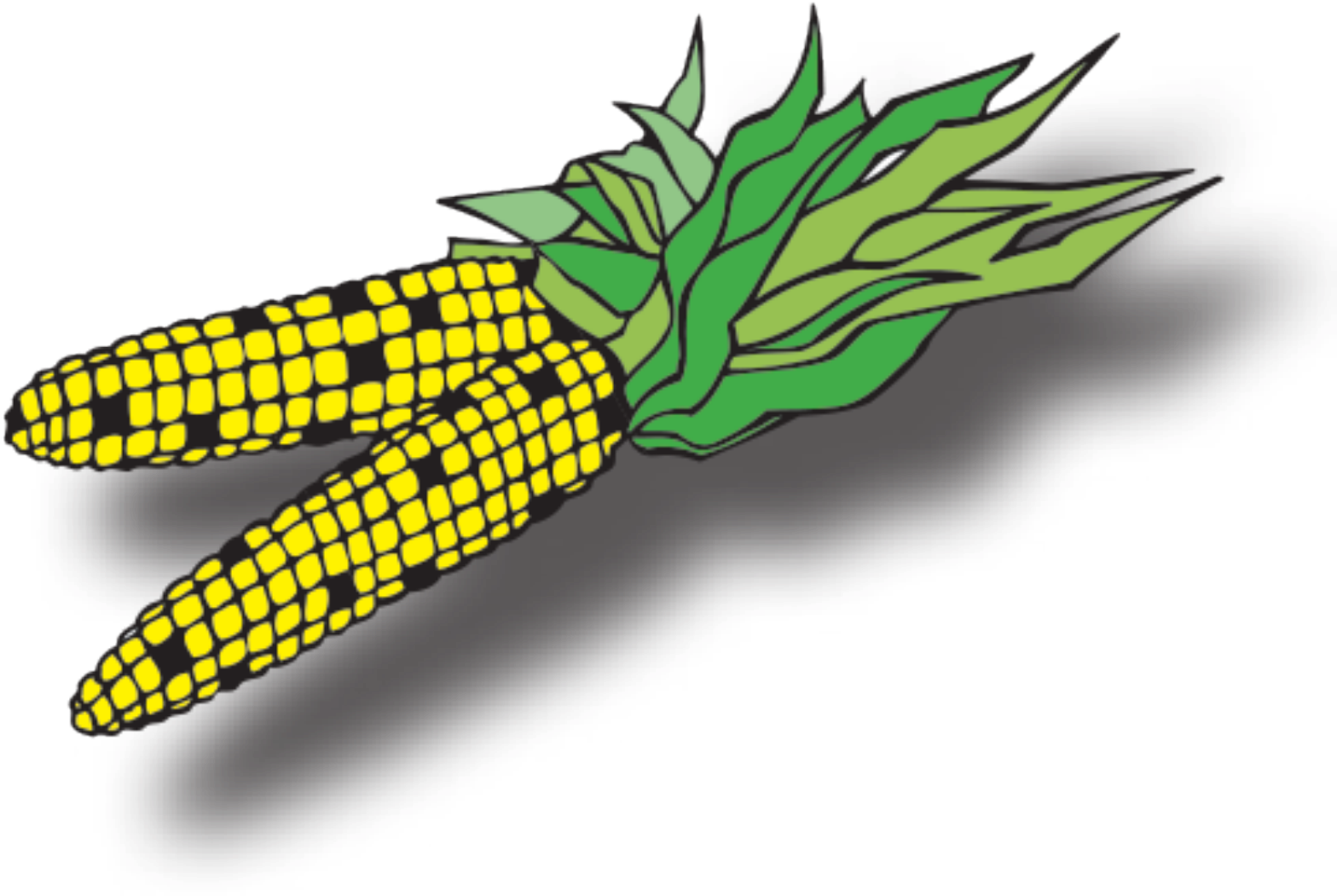 Navigating The Food Safety Maze Edible Baja Arizona - Vegetable (1600x1120)