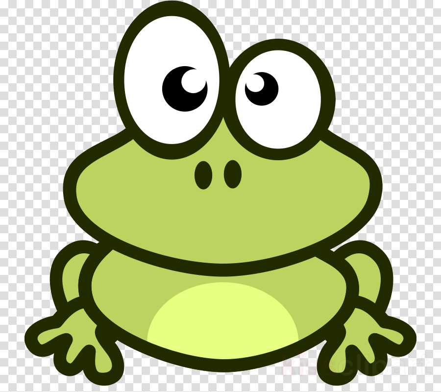 Bullfrog Clipart Edible Frog Amphibians - Frog Cartoon Png (900x800)
