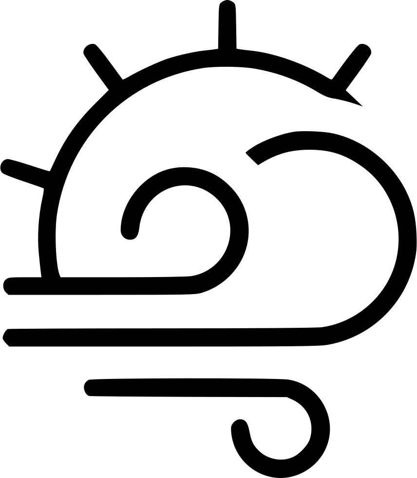 Gust Wind Icon Png - Bacterias Png (856x980)