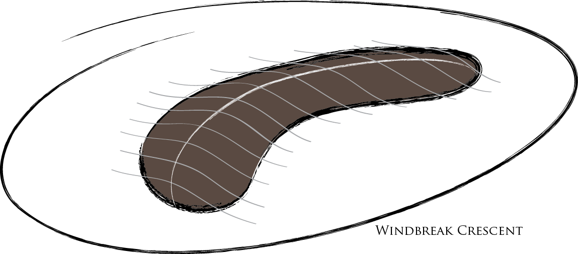 Wind Is A Serious Issue On The Coastal Property, Since - Wind Is A Serious Issue On The Coastal Property, Since (1149x505)