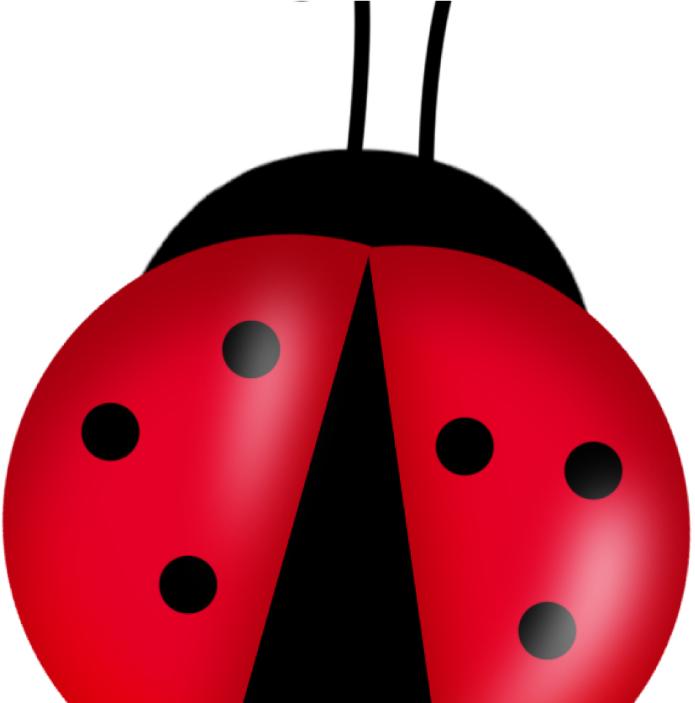 Ladybugs Clipart Cute Ladybugs Clipart Buscar Con Google - Ladybug Png (1024x1024)
