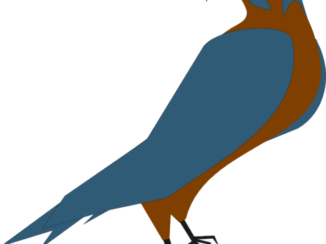 Peregrine Falcon Clipart Vector - Parrot (640x480)