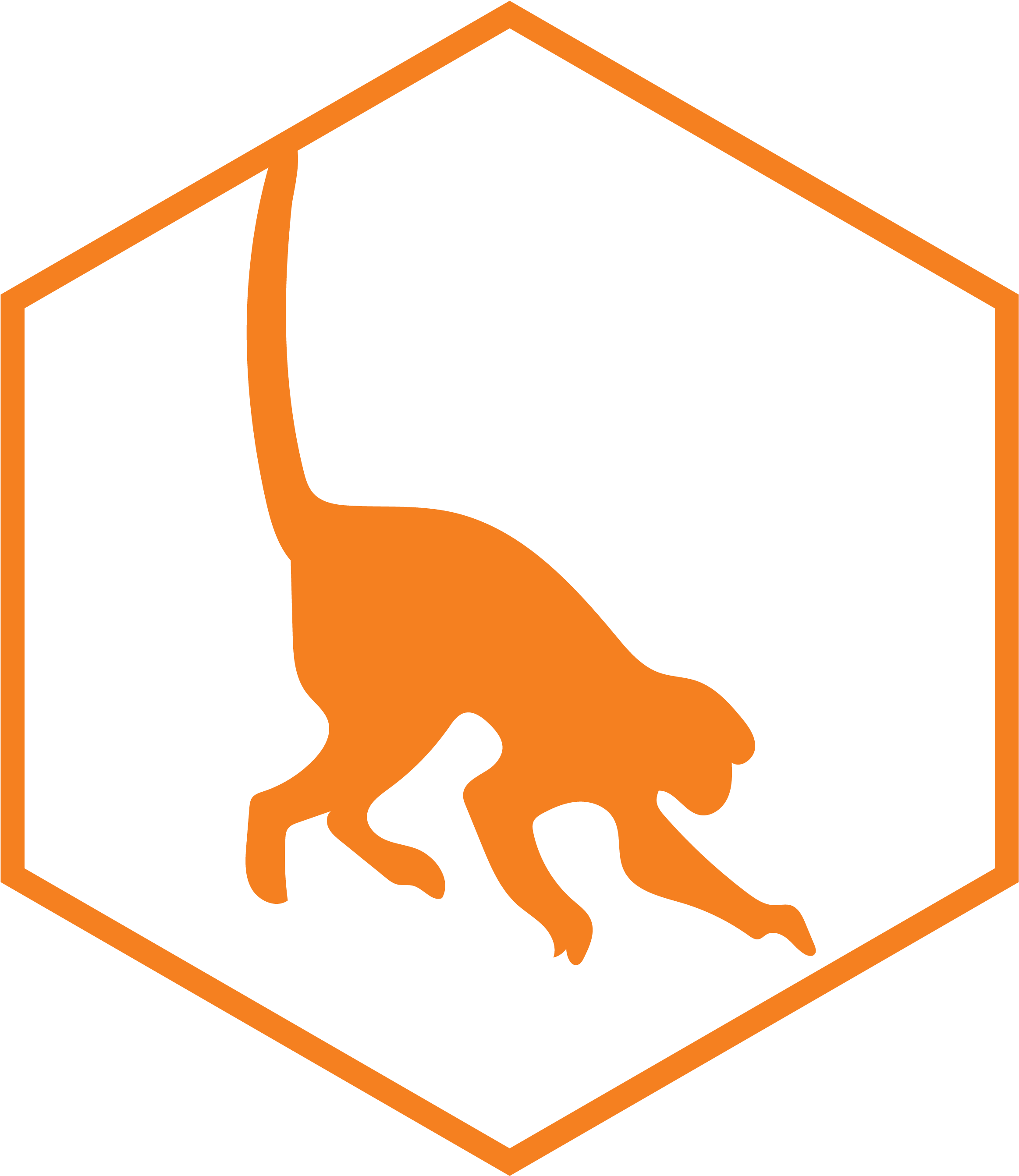 50% Of Flora And Fauna Of Costa Rica Is In This Paradise - 50% Of Flora And Fauna Of Costa Rica Is In This Paradise (3074x3272)