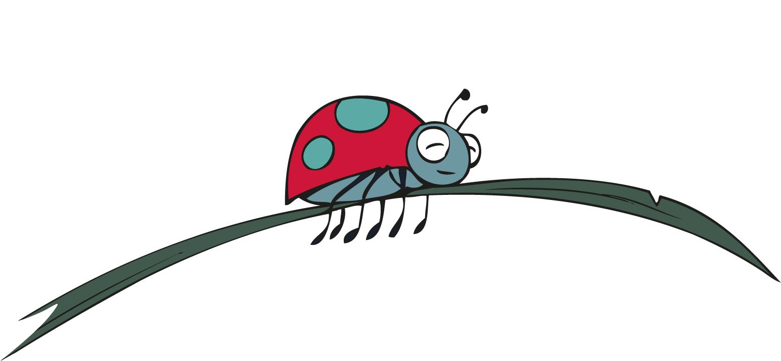 Histoires Pour Dormir - Ladybug (1620x779)