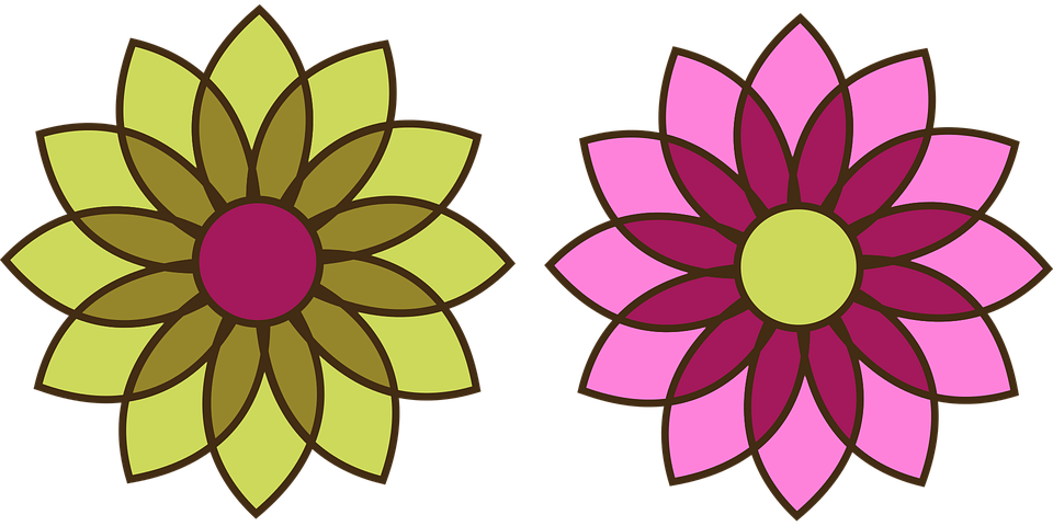 Blossom, Bloom, Flower, Chrysanthemum - Mandala Simple (960x480)