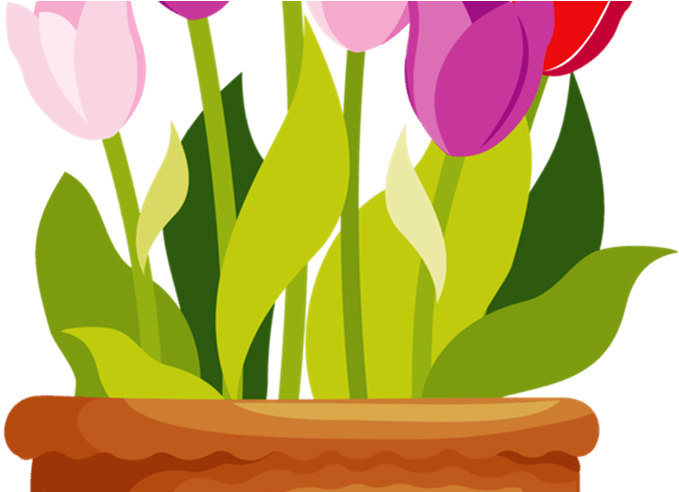 Garden Clip Art Free - Flowers In Pot Clipart (800x491)