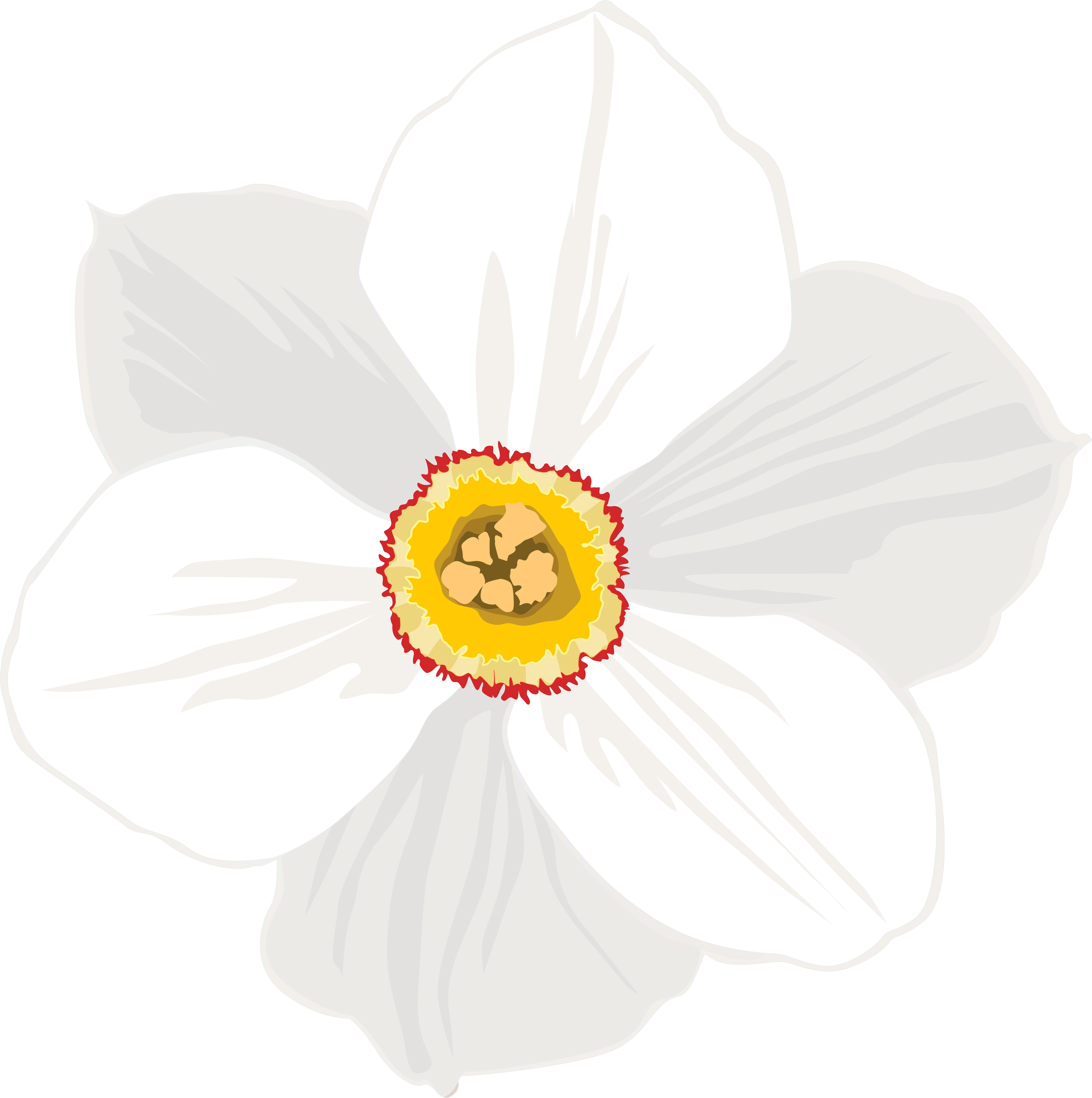 Daffodil Clipart Transparent Background , Png Download - Daffodil Clipart Transparent Background , Png Download (7905x7949)