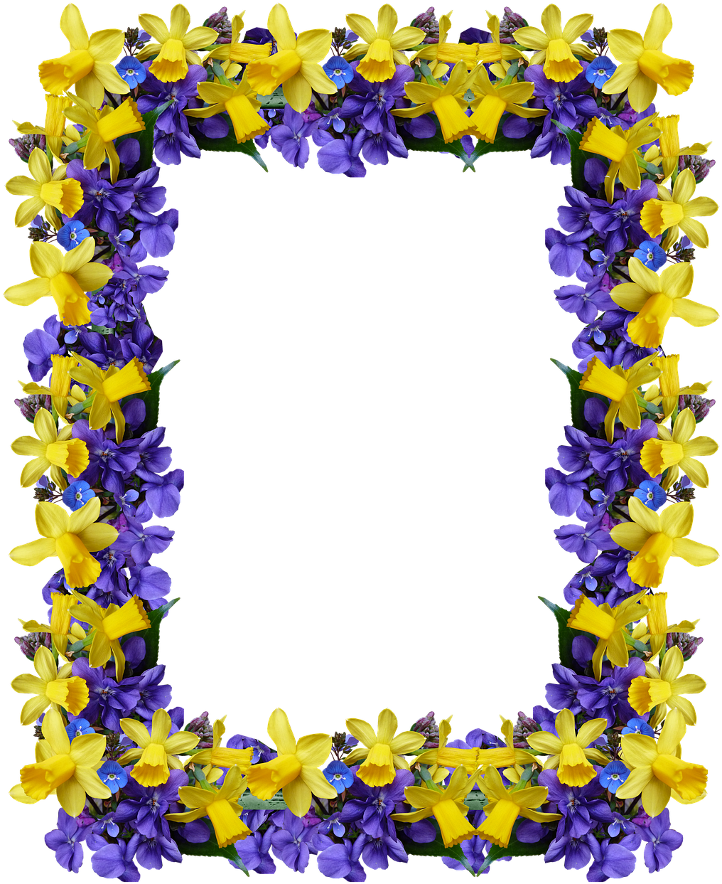 Pictures, Free Photos, - Delphinium (1047x1280)