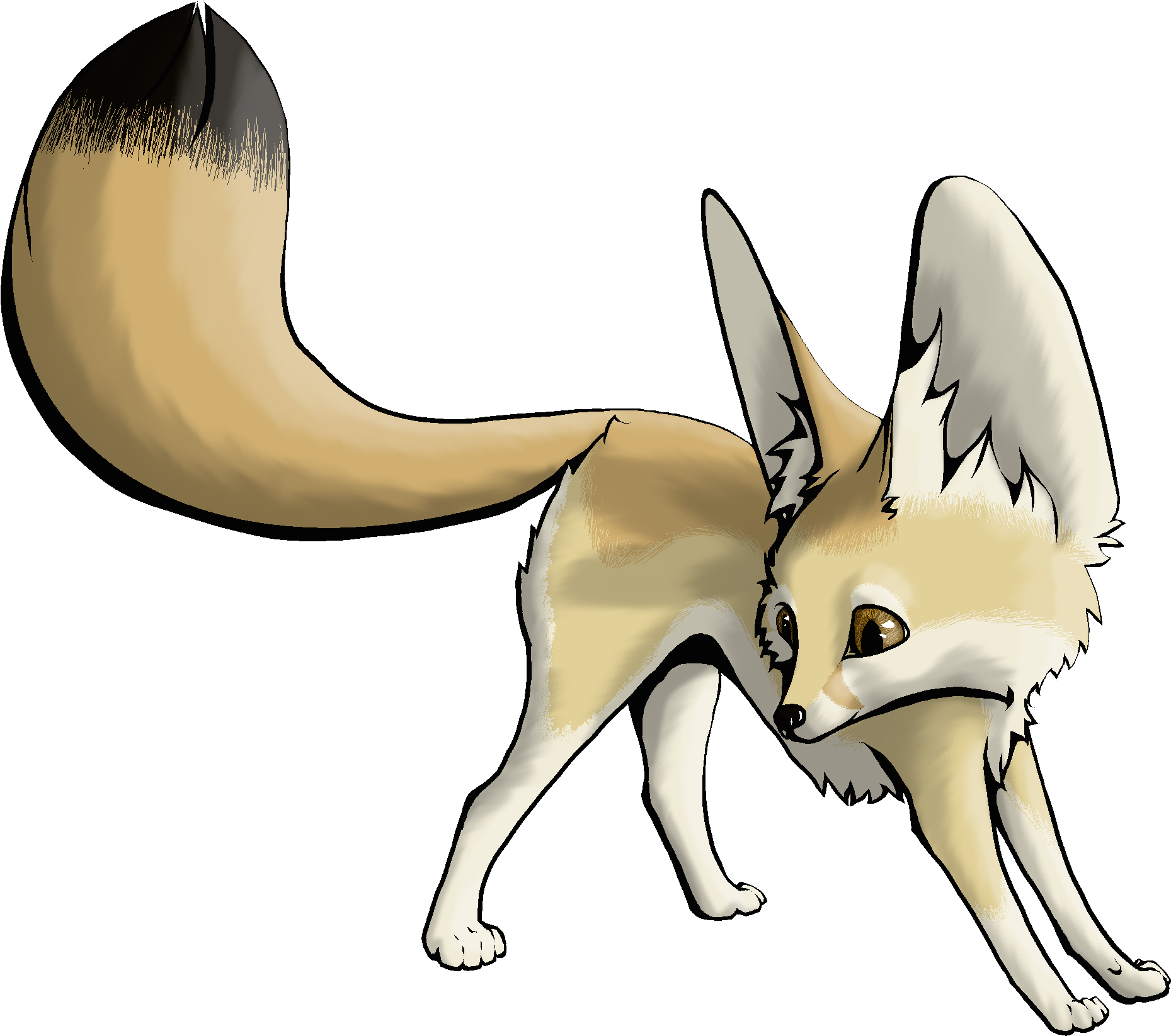 Cute Draw Fennec Fox (3021x2268)