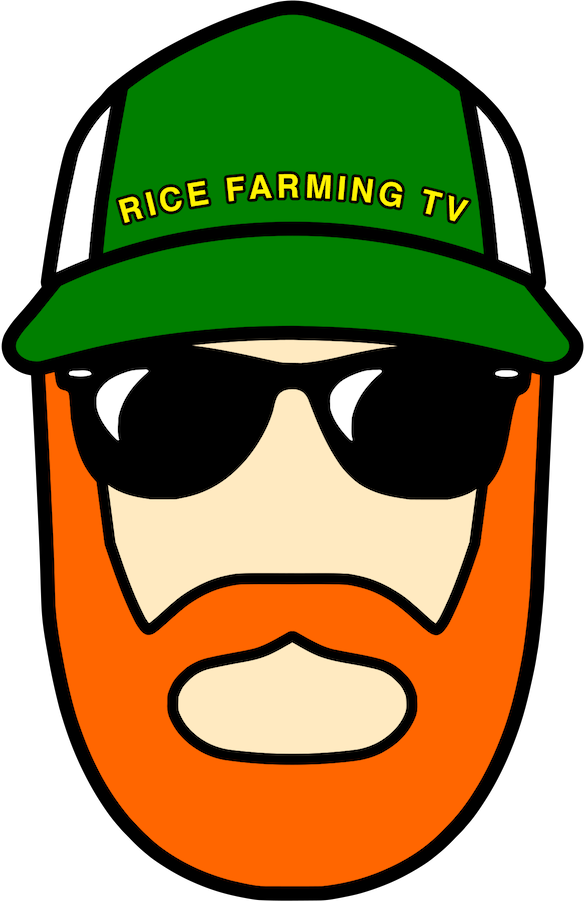 Matthew Will Be There W/other - Rice Farming Tv (585x901)