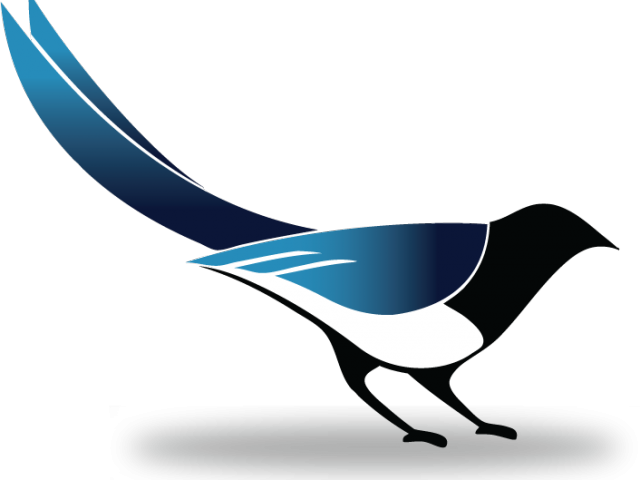 Magpie Clipart Transparent - Magpie Clipart Transparent (640x480)
