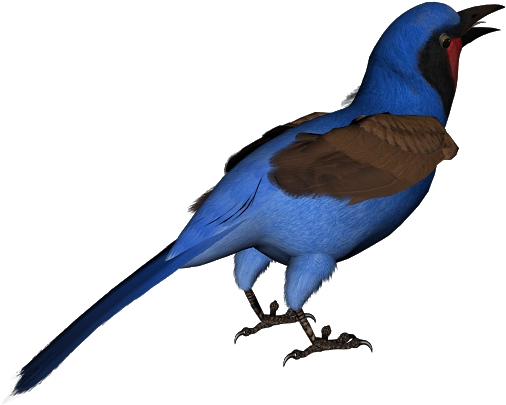 Blue Bird Clip Art Free - Swallow (620x438)