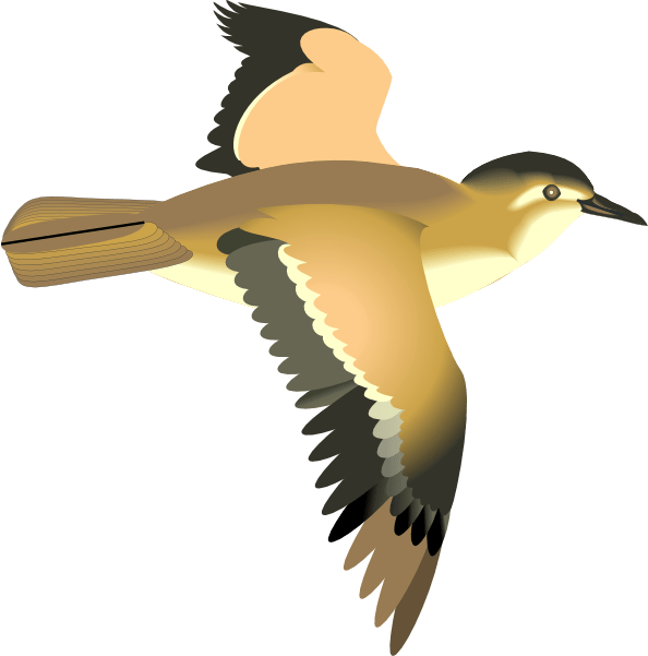 Transparent Clipart Flying Bird (594x601)