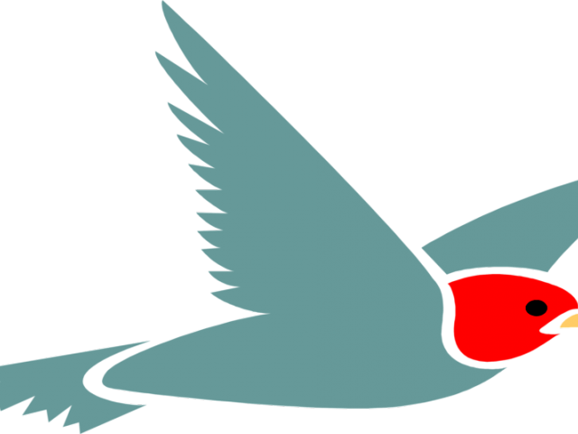 Pheasant Clipart In Flight - Flying Bird Without Background (640x480)